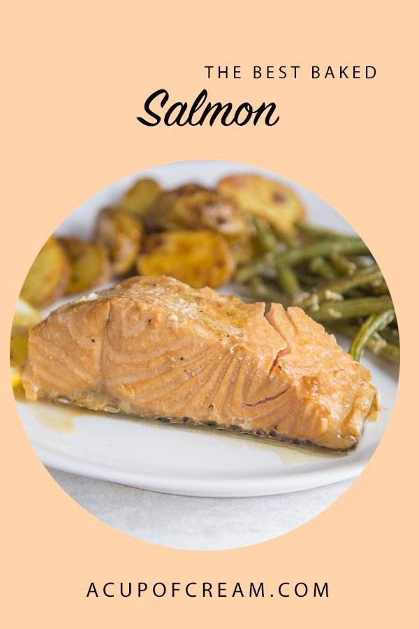 The Best Baked Salmon - A Cup Of Cream