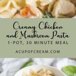 1-Pot Creamy Chicken and Mushroom Pasta