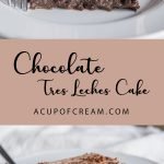 Chocolate Tres Leches Cake