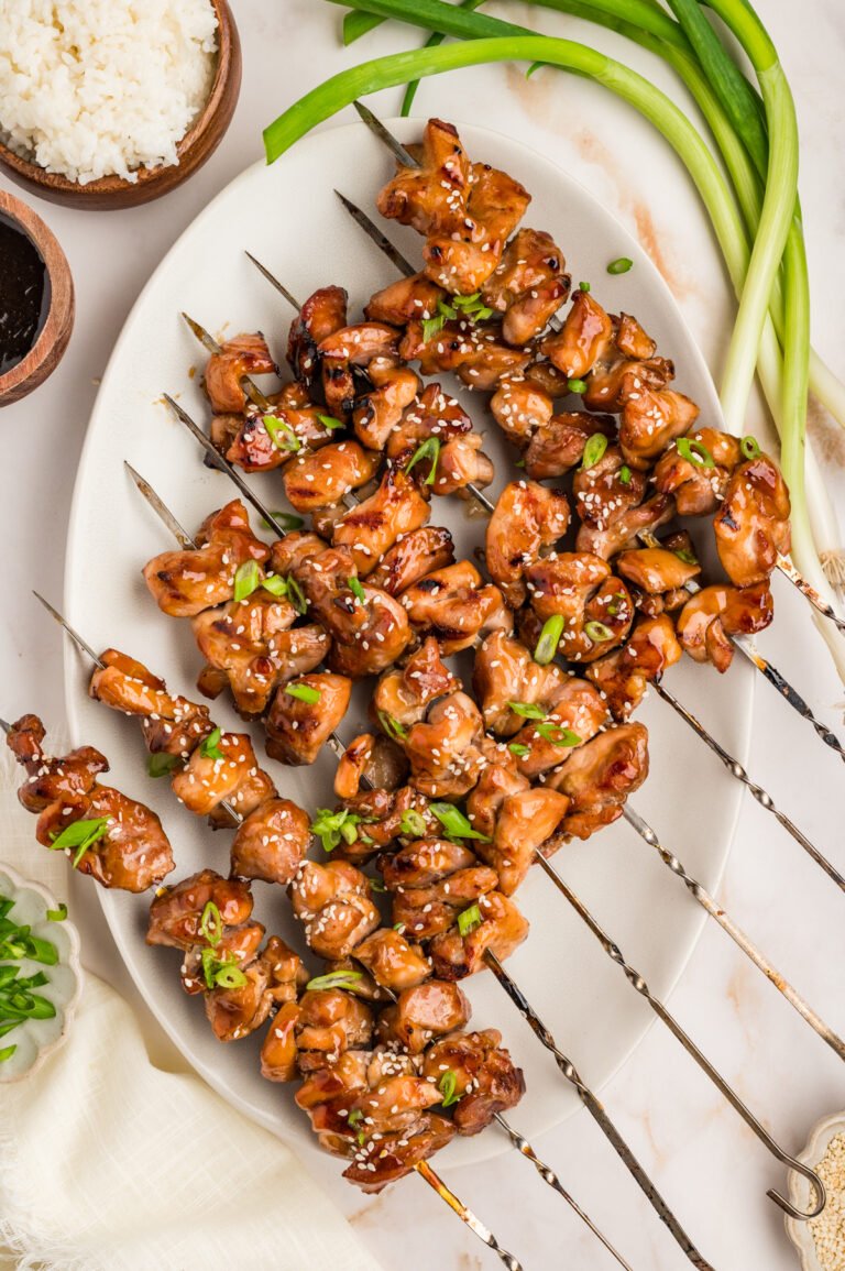 Styled platter with skewers of teriyaki chicken and rice, alongside small bowls of sauce and sliced scallions.