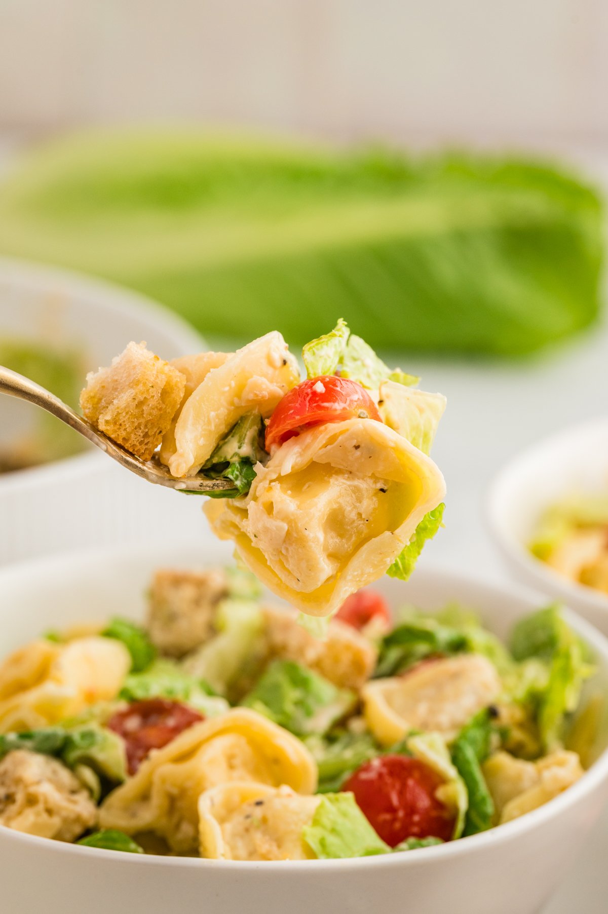 Fork holding a bite of tortellini Caesar salad with crouton, romaine, and cherry tomato